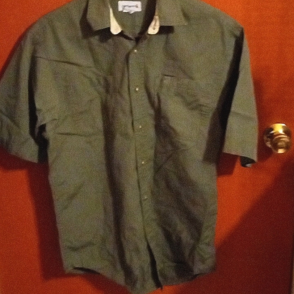 Carhartt button up shirt